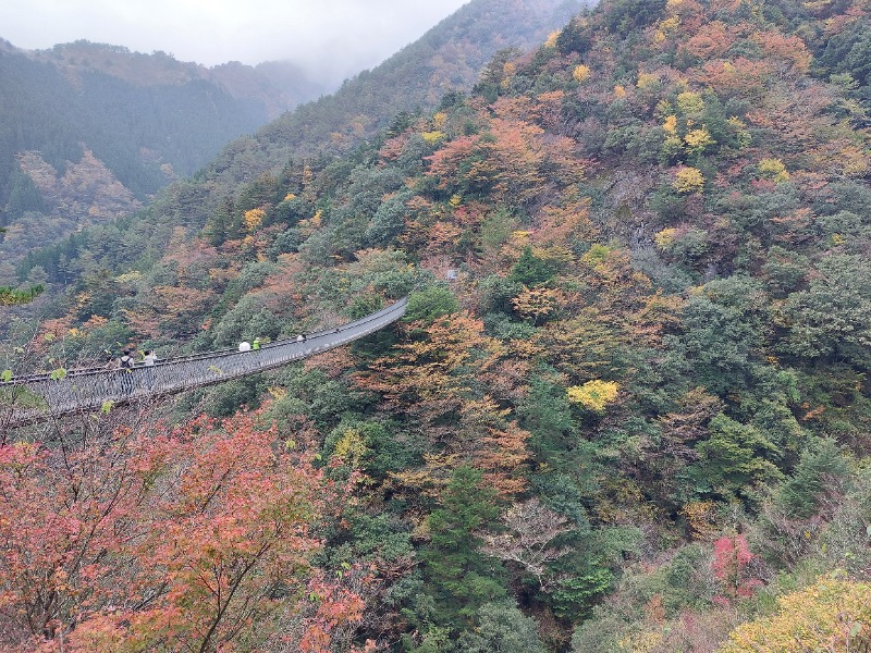 T_aroさんの五木温泉夢唄のサ活写真