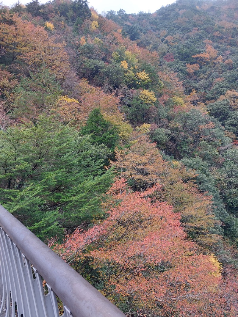 T_aroさんの五木温泉夢唄のサ活写真