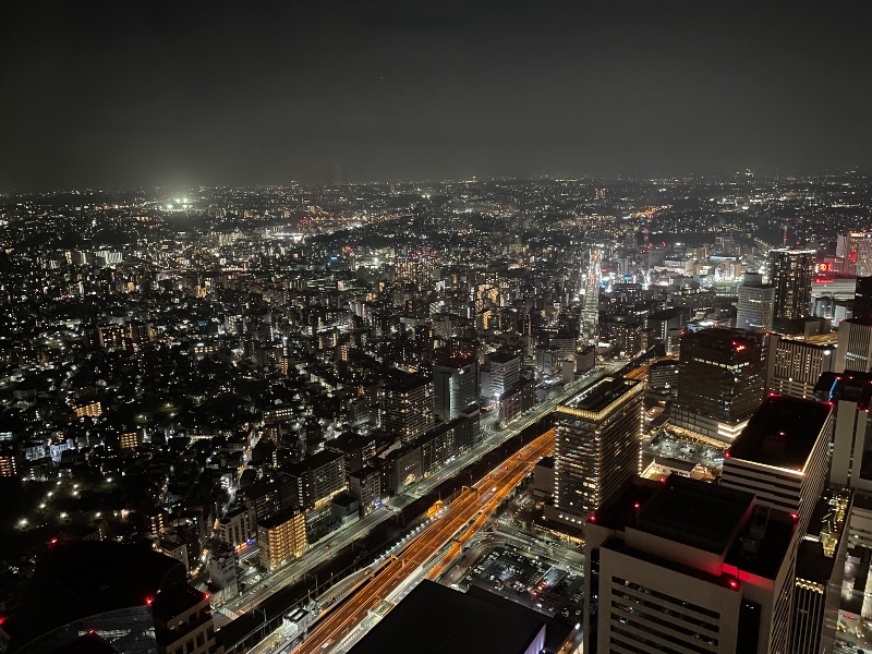 イゴさんのランドマークスパ(横浜ロイヤルパークホテル)のサ活写真