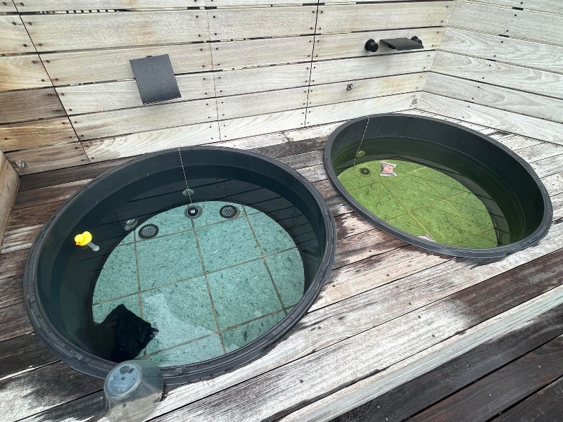 イゴさんのサウナしきじのサ活写真