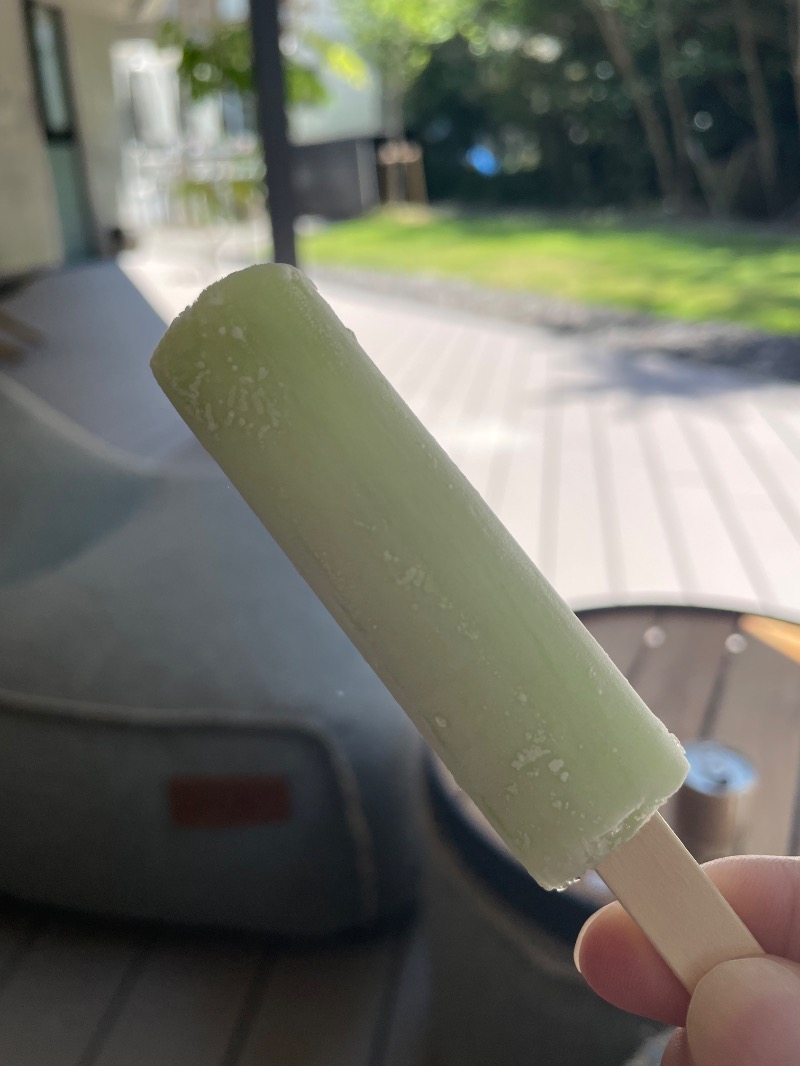 イゴさんの水の家のサ活写真