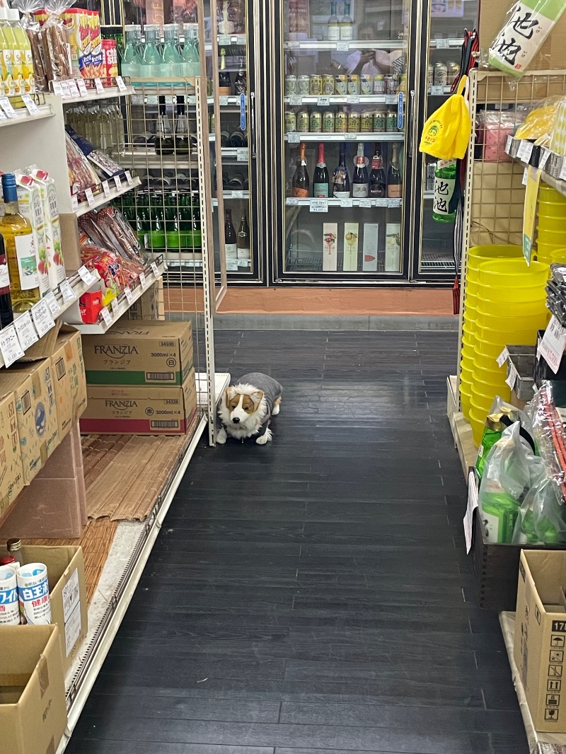 イゴさんの水の家のサ活写真