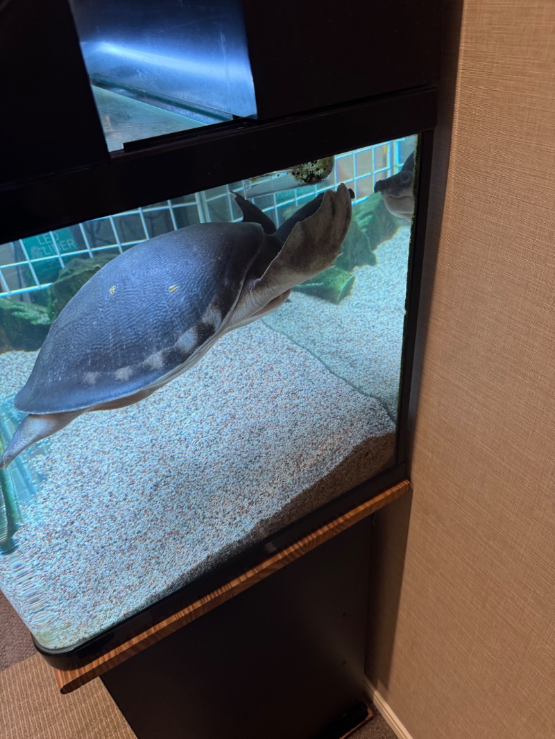 c.kさんの松本湯のサ活写真