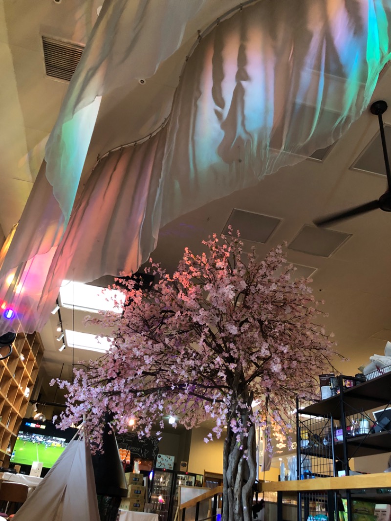 ✿(◍ ´꒳` ◍).*✿ｻｳﾅｲｲｺさんのおふろcafé utataneのサ活写真