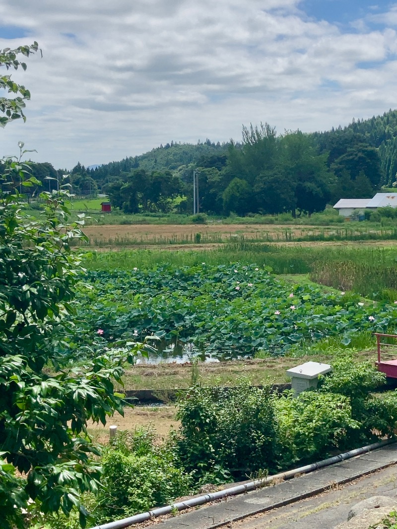 蒸しパンダさんの千貫石温泉 湯元東館のサ活写真