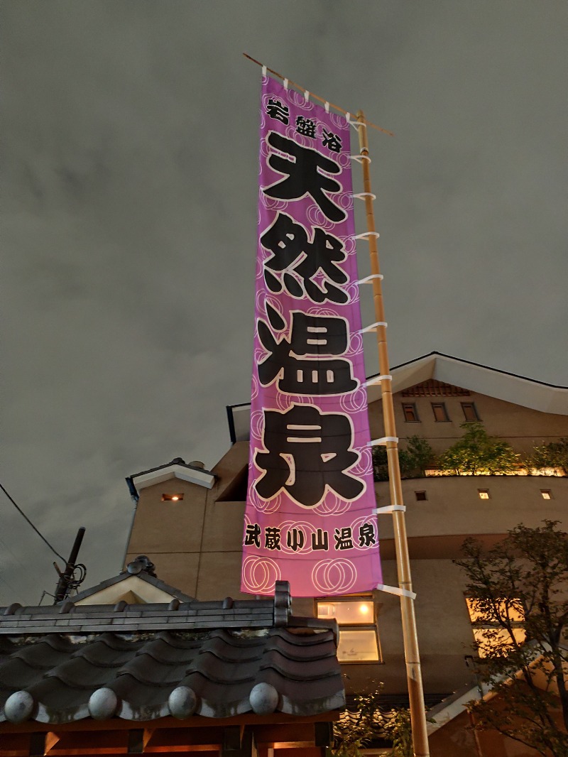 サポさんの武蔵小山温泉 清水湯のサ活写真