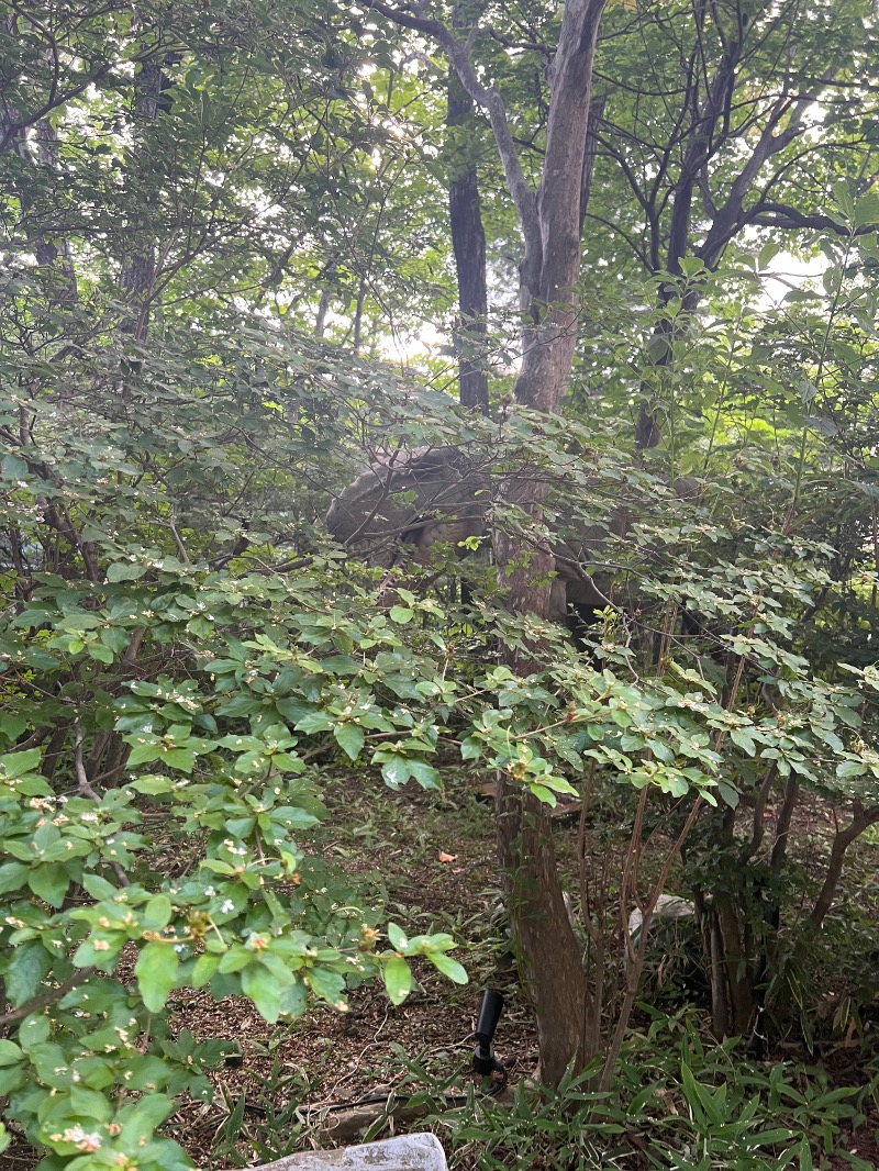 四皇⚡️灼熱の漫談ロウリュウ師いずちゃんさんのホテルブランヴェール那須のサ活写真