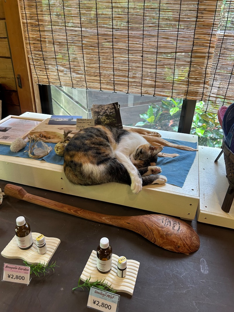 黄色さんの亜熱帯サウナのサ活写真
