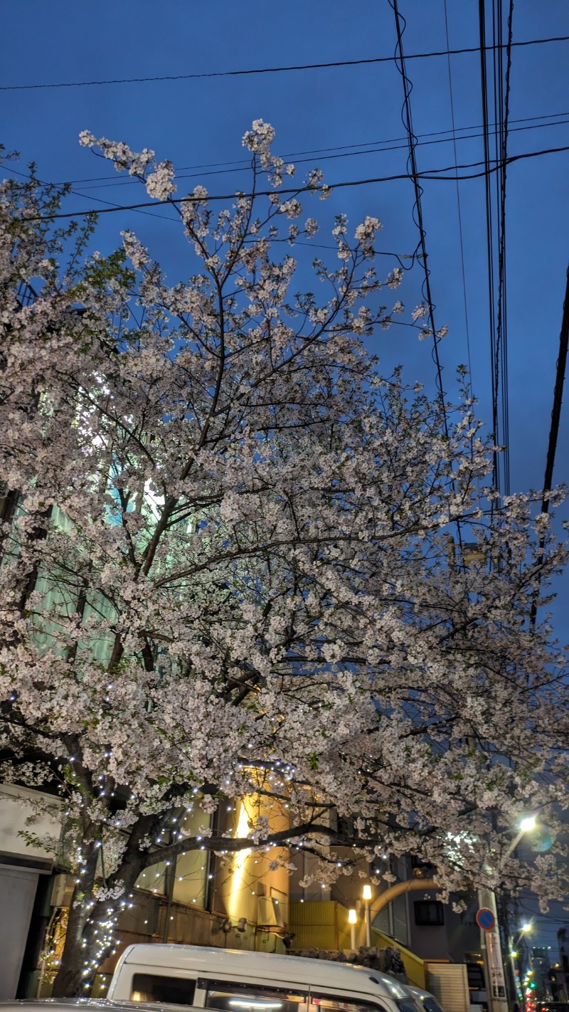 ありサさんの桜館のサ活写真