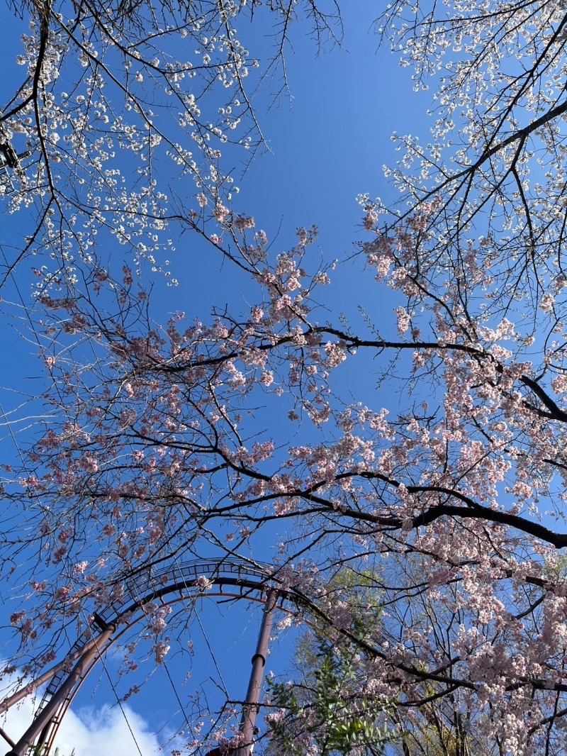 アメリカン・サ畜🔥さんのよみうりランド眺望温泉 花景の湯のサ活写真