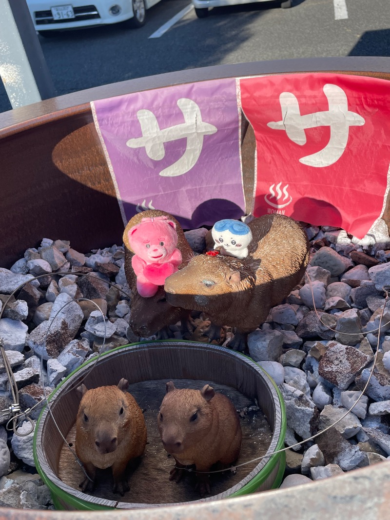ＡＫＰさんの富士山天然水SPA サウナ鷹の湯のサ活写真