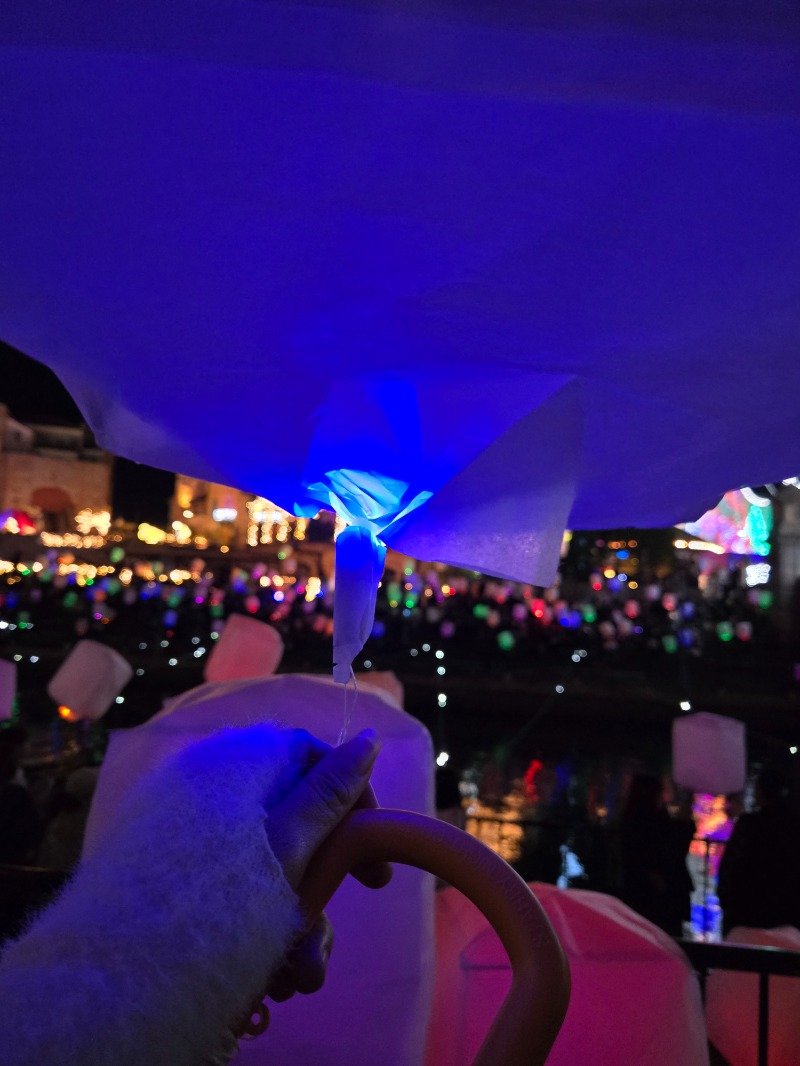 聖華さんの紀州の湯 ドーミーインPREMIUM和歌山のサ活写真