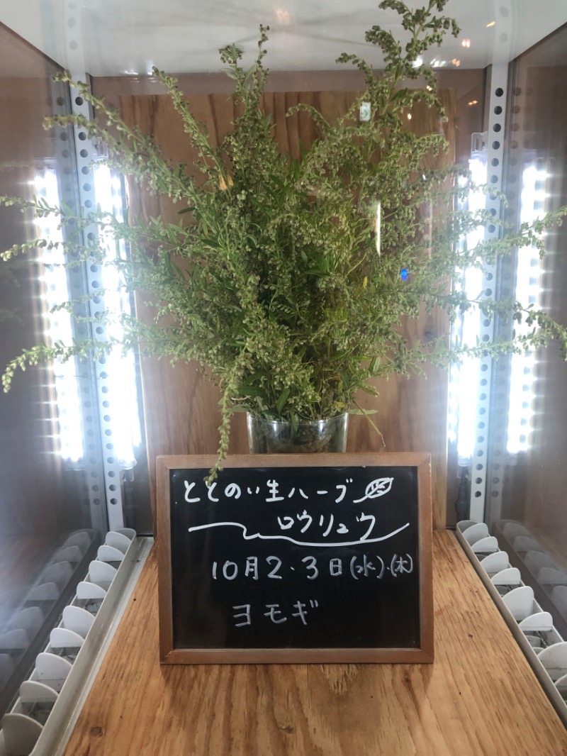 とおるちゃんさんの各務原 恵みの湯のサ活写真