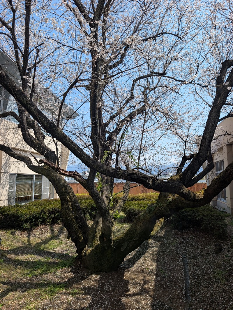 TTDさんの甲府市リサイクルプラザのサ活写真