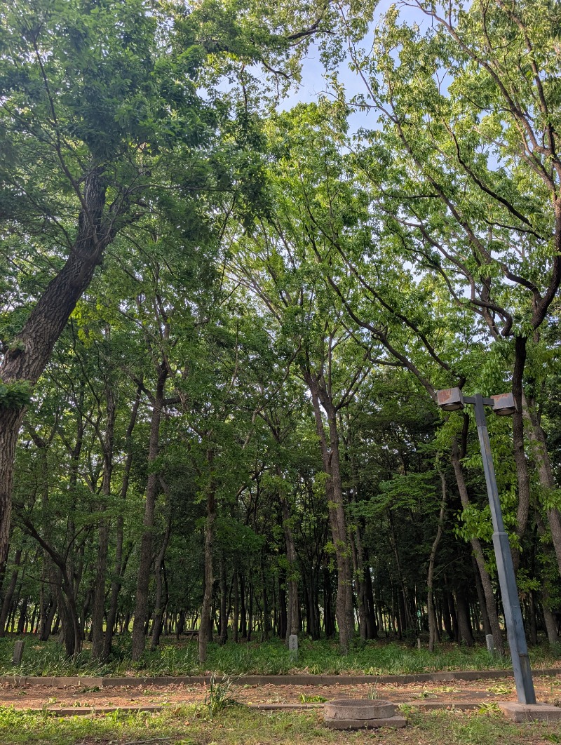 TTDさんの八千代グリーンビレッジ  憩遊館やちよ乃湯のサ活写真
