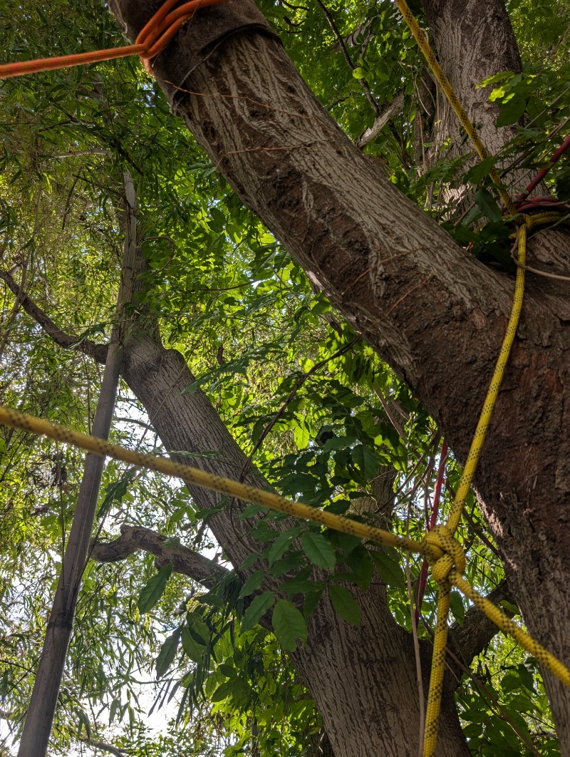 TTDさんのいわつき温泉ジャンボのサ活写真