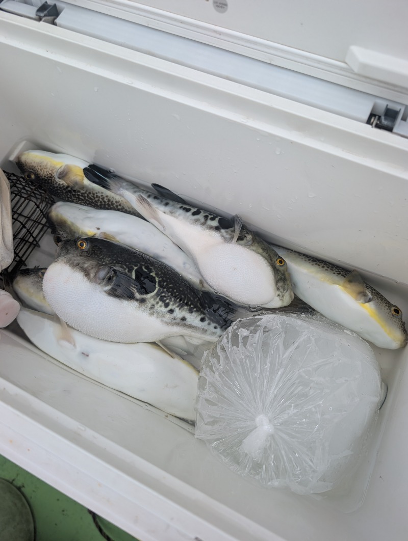 TTDさんの浅田湯のサ活写真