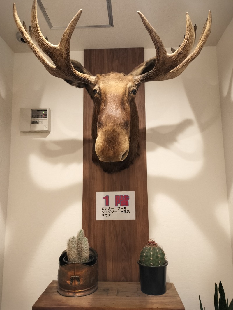 アウフさんのニュージャパン 梅田店(カプセルイン大阪)のサ活写真