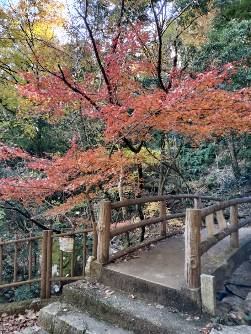 アウフさんの比良とぴあのサ活写真