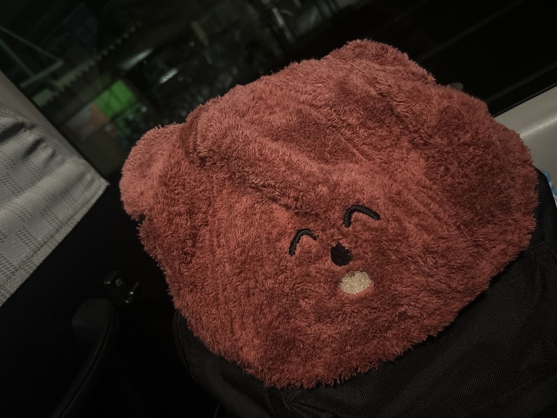 どねるさんの湯乃泉 草加健康センターのサ活写真