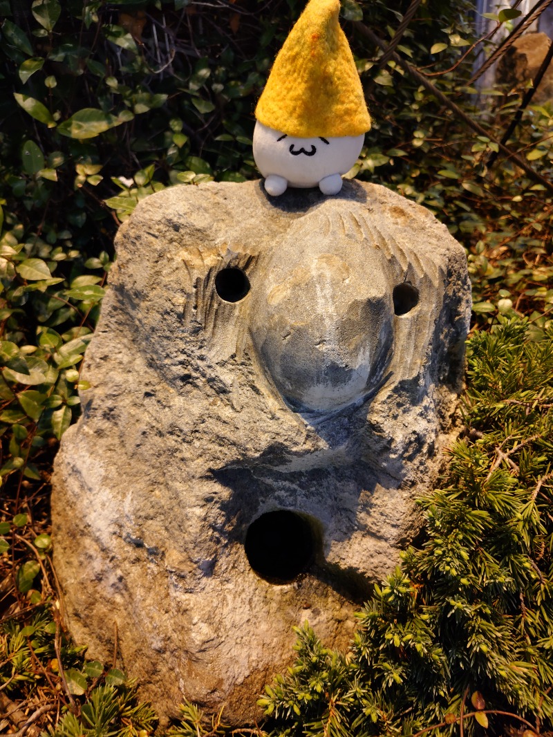 Fujitter@初志蒲鉄さんの神戸サウナ&スパのサ活写真