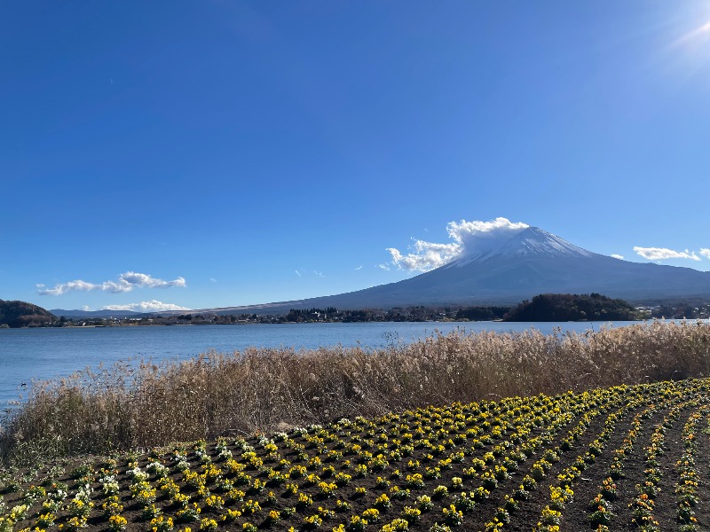 YOU08さんの河口湖 ホテル 桜庵のサ活写真