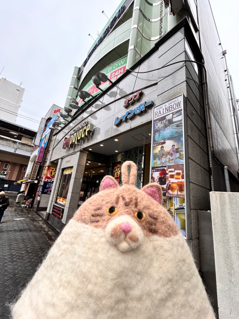 もとニャワタ サウニャ〜さんのサウナ&カプセルホテルレインボー本八幡店のサ活写真