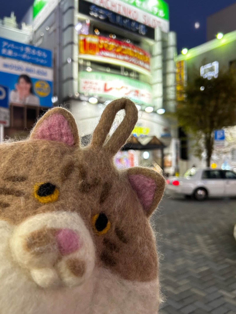 もとニャワタ サウニャ〜さんのサウナ&カプセルホテルレインボー本八幡店のサ活写真