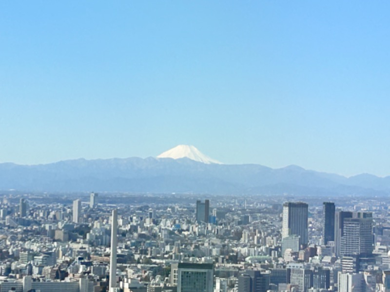 もとニャワタ サウニャ〜さんの柳湯のサ活写真