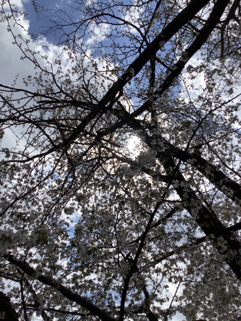 tacchy 魔都サッポロがスキすぎるさんのスポーツクラブ&サウナスパ ルネサンス 札幌平岸24のサ活写真