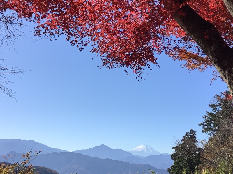 めんめんさんの京王高尾山温泉 極楽湯のサ活写真