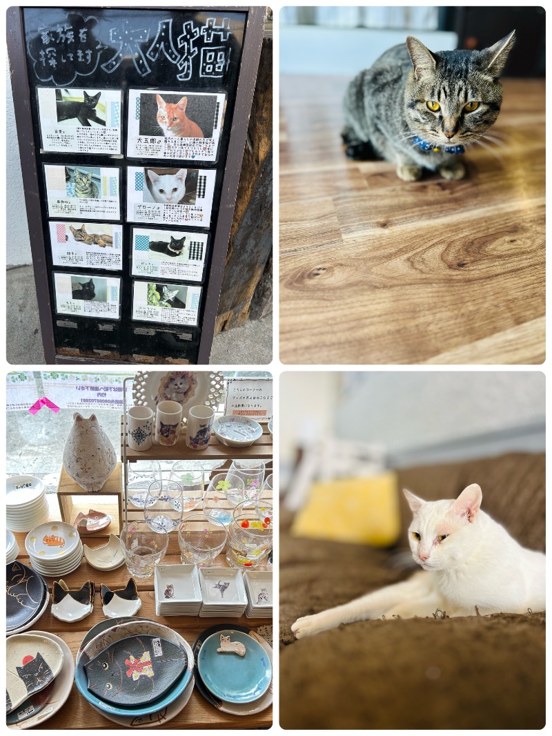 水冷さんのニコーリフレ SAPPOROのサ活写真