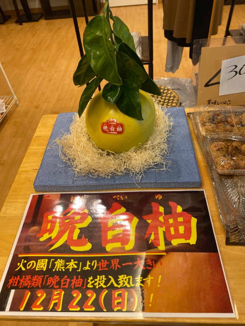 こーじさんの大桑おんま温泉 楽ちんの湯のサ活写真