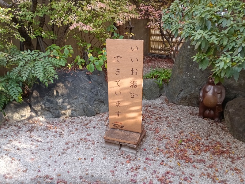 ライさんの天然温泉おとぎの杜のサ活写真