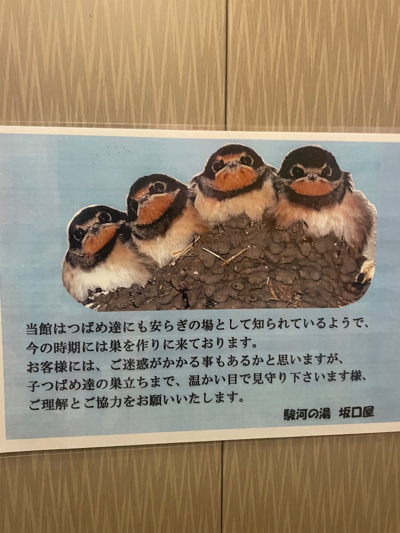 キューさんの駿河の湯 坂口屋のサ活写真