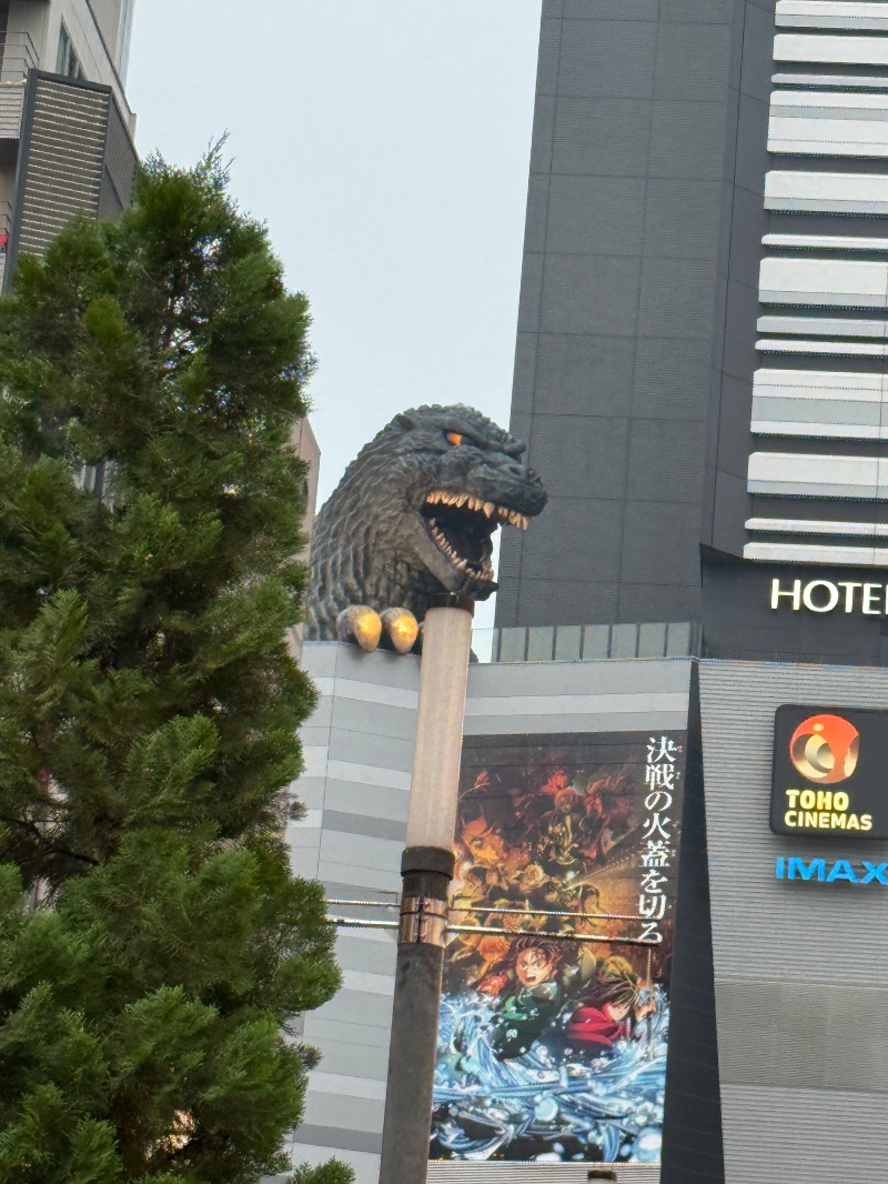 まるくさんのレディース510のサ活写真