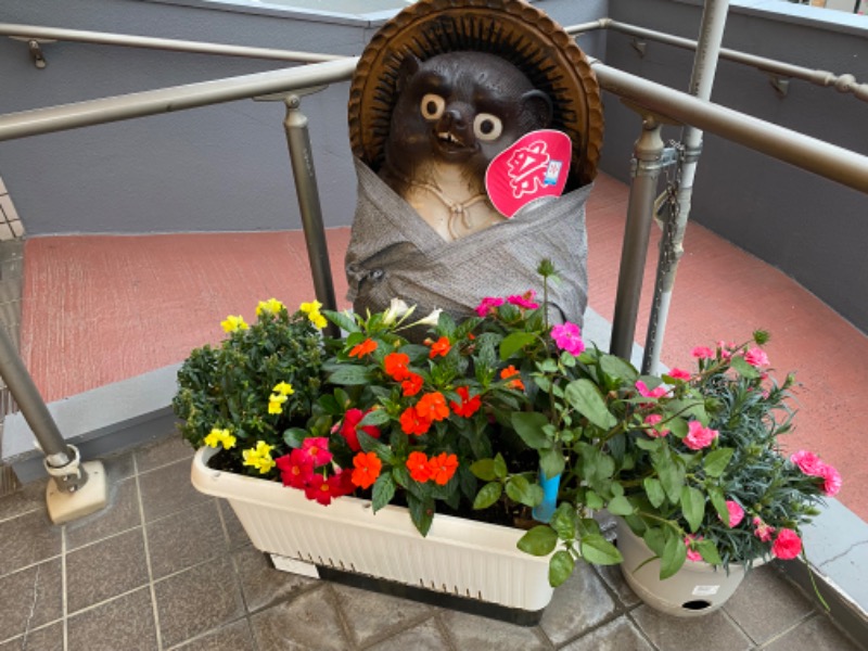 あつしさんの西品川温泉 宮城湯のサ活写真