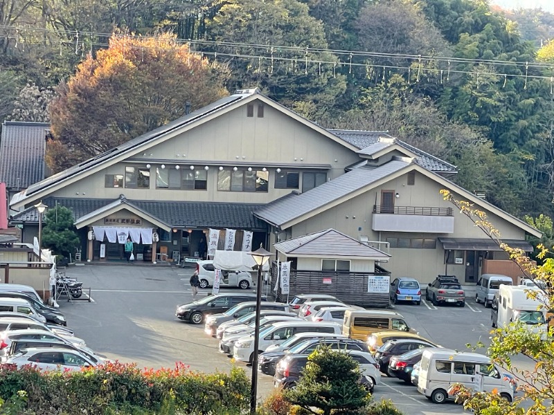 湯活のススメさんの秩父湯元 武甲温泉のサ活写真