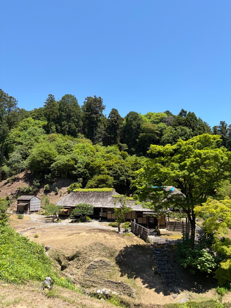 ガーさんの湯楽の里 日立店のサ活写真