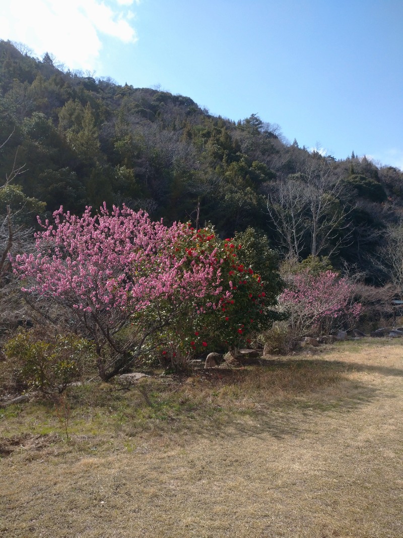sachiさんの桃太郎温泉 一湯館のサ活写真