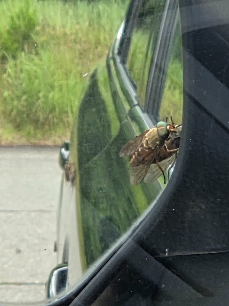 かますさんの川口温泉 奥羽山荘のサ活写真