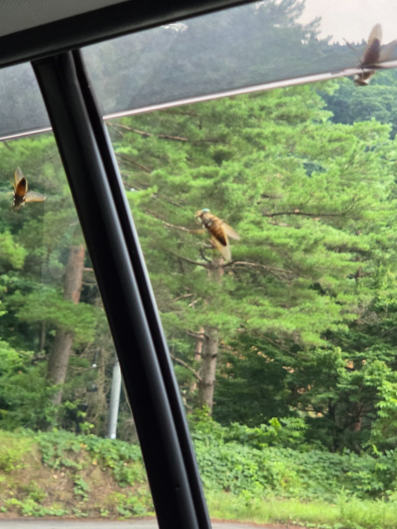 かますさんの川口温泉 奥羽山荘のサ活写真