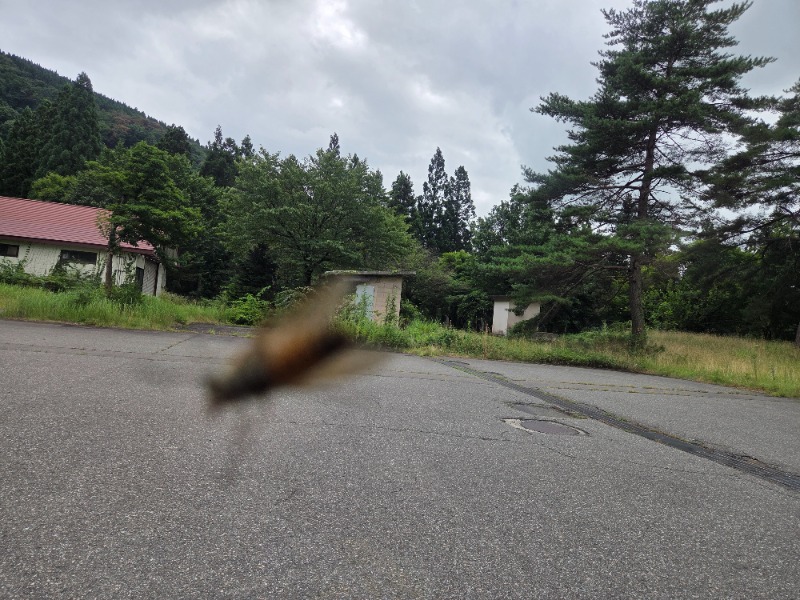 かますさんの川口温泉 奥羽山荘のサ活写真