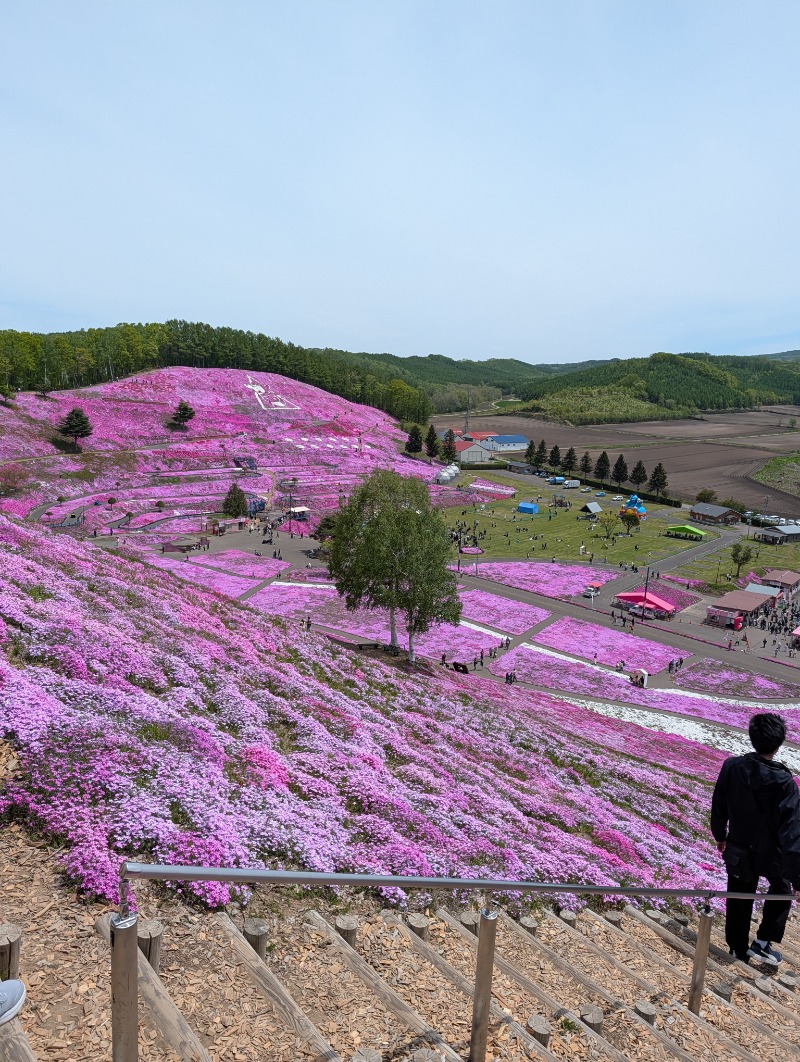 とらさんの川湯観光ホテルのサ活写真