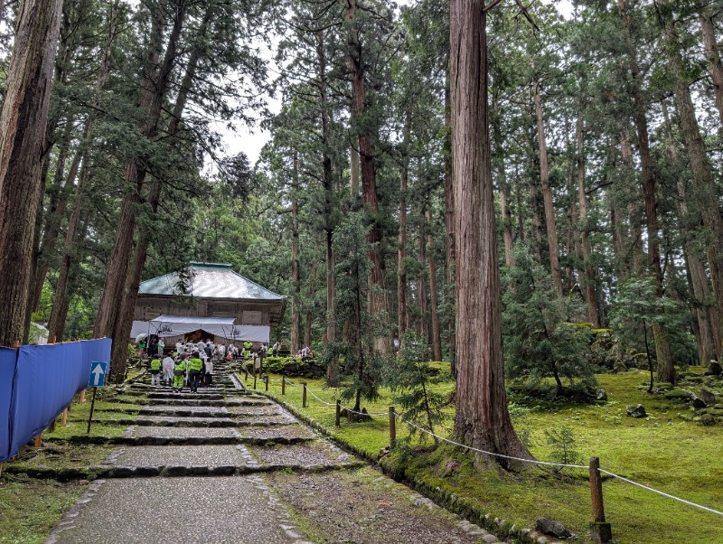 イキタサナウイさんの伝統旅館のぬくもり 灰屋のサ活写真