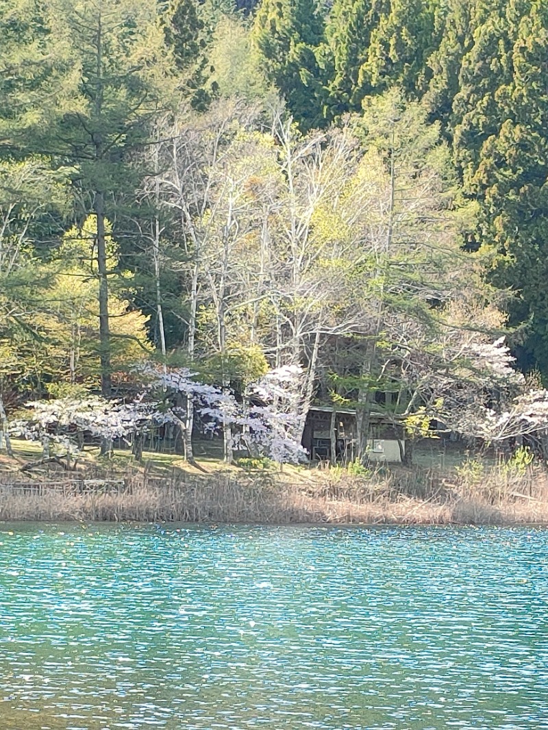 あつのすけさんの湖畔の楽園ドラゴンサウナのサ活写真