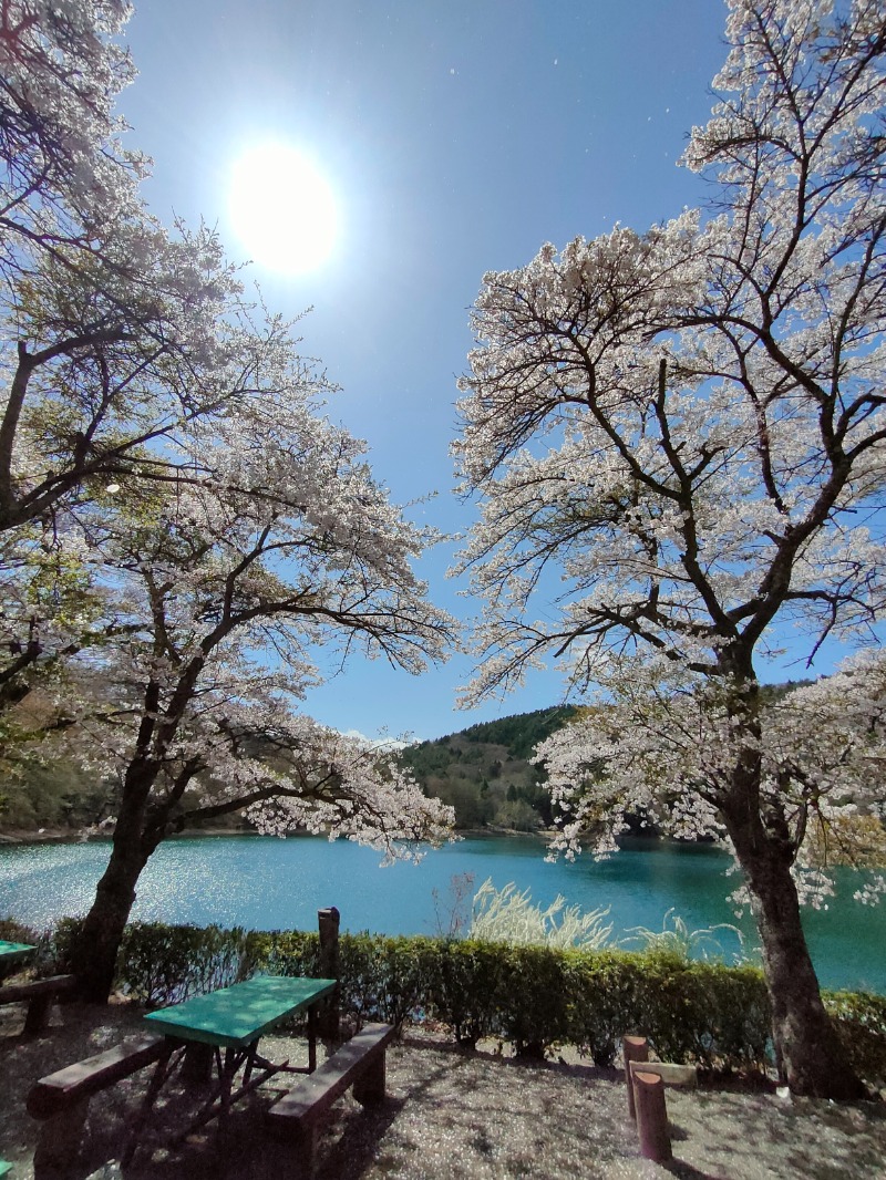 あつのすけさんの湖畔の楽園ドラゴンサウナのサ活写真