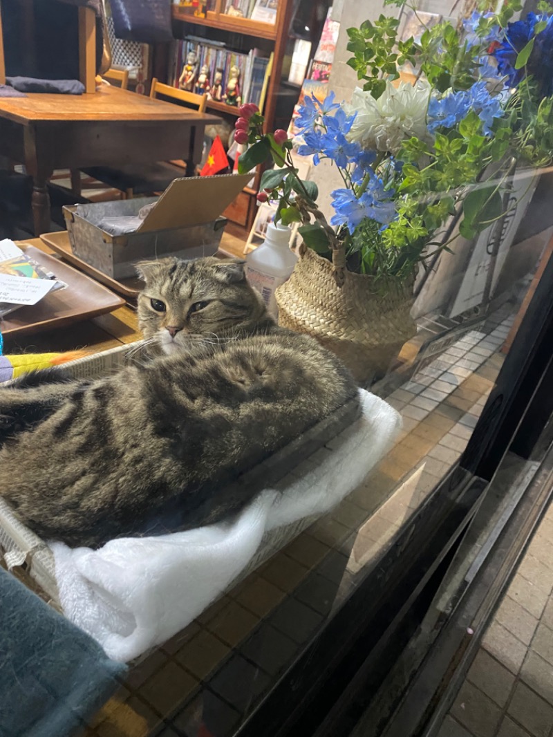 青のすみかさんの湊湯のサ活写真