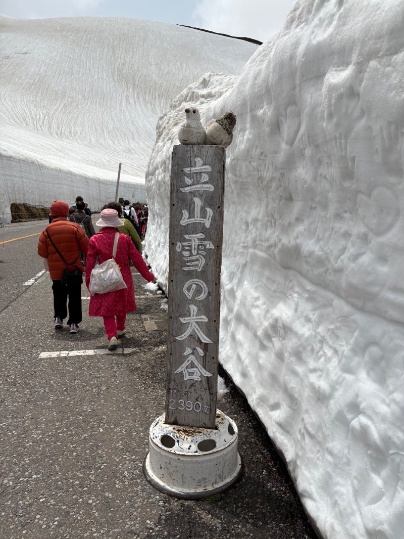 kanetama('ω')さんの湯けむり屋敷 薬師の湯のサ活写真