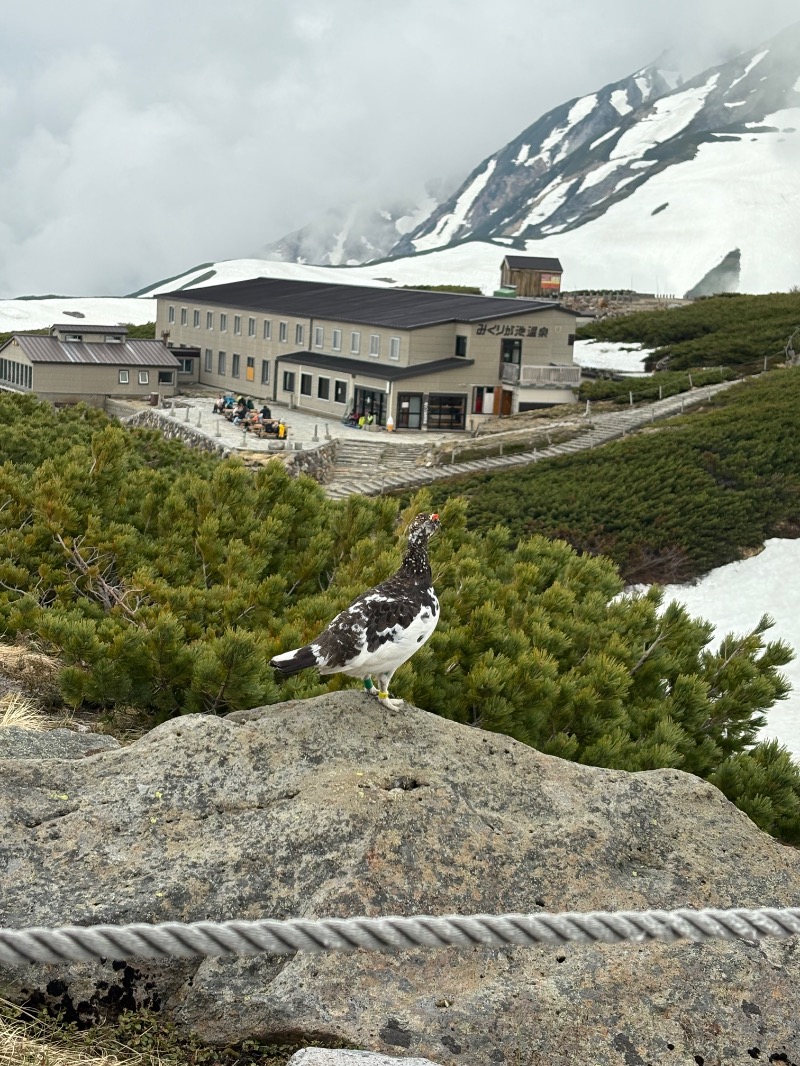 kanetama('ω')さんの湯けむり屋敷 薬師の湯のサ活写真